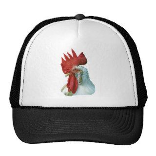 Rooster Picture Hats