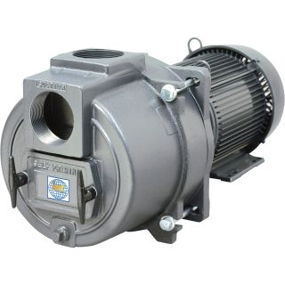 IPT Cast Iron Sewage and Trash Pump — 4in. NPT, 2in. Solids Capacity, Model# 399C-IPT-95  Centrifugal Pumps