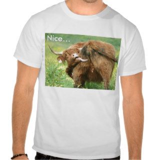 Funny Aberdeen Angus Cow T Shirt