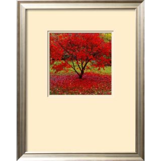 art 17 in W x 22 in H Floral and Botanical Framed Wall Art
