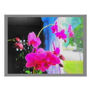 Poster, Fusha Orchid, color background options