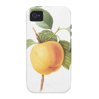 Vintage Food Fruit, Calville Apple by Redoute Vibe iPhone 4 Case