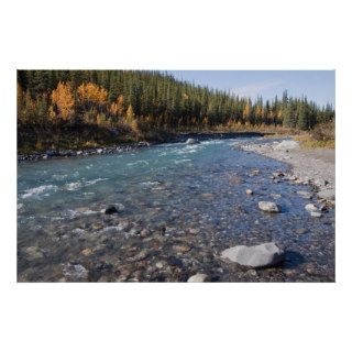 Riley Creek in Denali National Park 1 Print