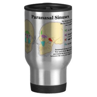 Diagram of Human Paranasal Sinuses Mug