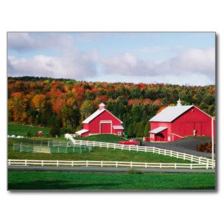 A farm in Vermont near Peacham. RELEASE Postcards