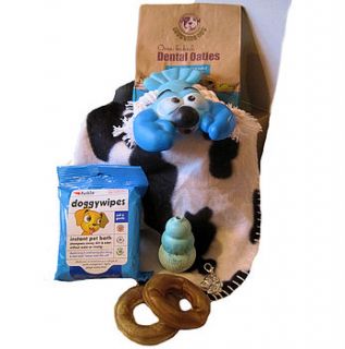 boy puppy hamper for dogs by bijou gifts