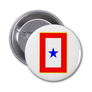 Blue Star Mother Pin