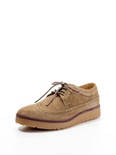 Teddy Wingtip Shoes by Hush Puppies