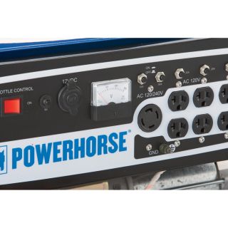 Powerhorse Portable Generator with Electric Start — 9000 Surge Watts, 7250 Rated Watts  Portable Generators