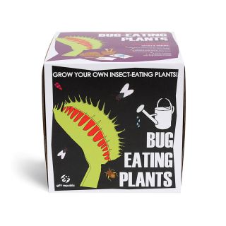 Sow and Grow Bug Eating Plants      Gifts