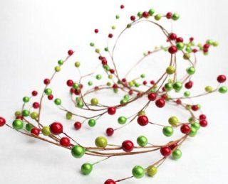 Set of 2 Festive Lime, Red, and Green Mixed Berry Holiday Wired Garland Health & Personal Care