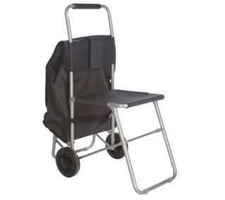 Sitn Go Kart Combination Portable Chair & Pull Cart —