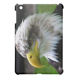 Bald Eagle Combe Martin Wildlife & Dinosaur Park iPad Mini Cases