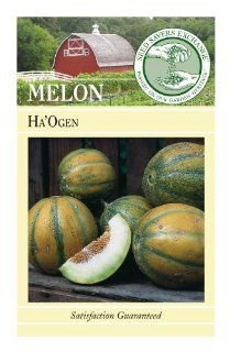 Seed Savers Exchange 1032 Organic, Open pollinated Melon Seed, Ha'Ogen, 25 Seed Packet (Discontinued by Manufacturer)  Fruit Plants  Patio, Lawn & Garden