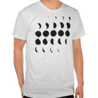 Geodesic Moon Phases Tshirt