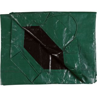 Ironton Green/Black Yard Tarp — 9ft. x 9ft.  Blue   Green Tarps