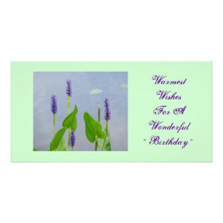 Warmest birthday wishes, White Magnolia Photo Card