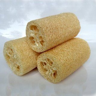 Set of 3 Natural Loofah Sponges (4 5 Inches)  Bath Loofahs  Beauty