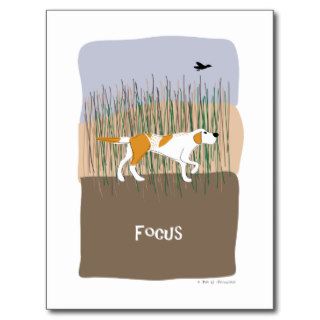 Focus Dog   Paw of Attraction Post Card