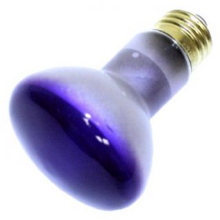 Industrial Coating 43233   45R20/PU 130V PURPLE Colored Flood Light Bulb   Incandescent Bulbs  