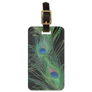 Green Feathers with Black Bag Tags