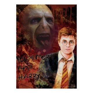 Voldemort and Harry Print