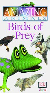 Amazing Animals Birds of Prey [VHS] DK Publishing Movies & TV