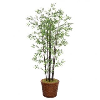 Laura Ashley 77 inch Tall Black Bamboo Tree Fiberstone Planter