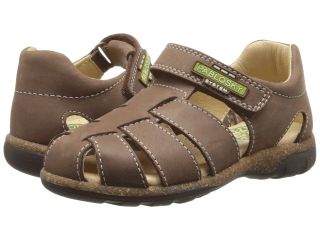 Pablosky Kids 562096 Boys Shoes (Brown)