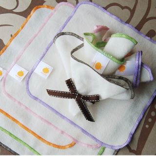 Satsuma Designs Organic Flannel Wash Cloths/Wipes (Set of 5) 851201002429