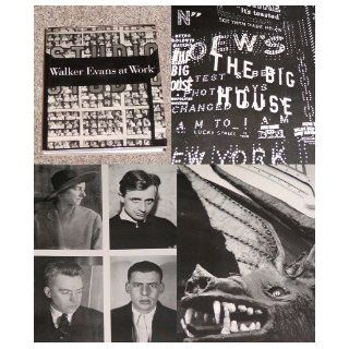 Walker Evans at work 745 photographs together with documents selected from letters, memoranda, interviews, notes (9780060111045) Walker Evans, John T. Hill, Jerry L. Thompson Books