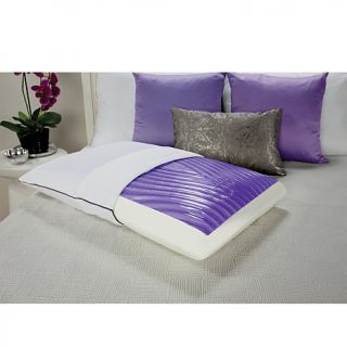 Sealy® OptiGel™ Memory Foam Bed Pillow   Standard