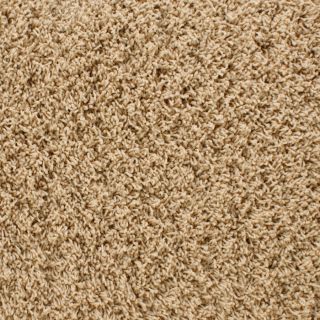STAINMASTER Active Family Dorchester Brown Frieze Indoor Carpet