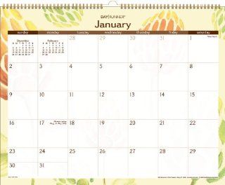 Day Runner Water Colors Recycled Wall Calendar, 15 x 12 Inches, 2011 (PM1 791G) 