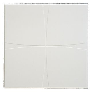 Armstrong 12 Pack Flumes Ceiling Tile Panel (Common 24 in x 24 in; Actual 24 in x 24 in)