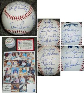 1969 Chicago Cubs Team Signed MLB Baseball   Chicago Cubs MLB Baseball Sports Memorabilia  Sports & Outdoors