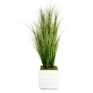 Laura Ashley 66 inch Tall Onion Grass And Twigs In 14 inch Fiberstone Planter