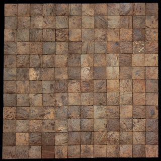 Square Natural Brown Convex Coconut Wall Tile