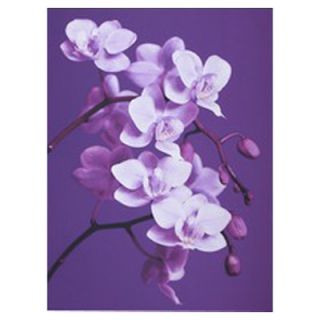 Graham & Brown Orchid Painting Print on Canvas 41 324