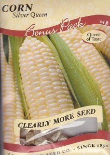 Silver Queen Corn Seeds   13 grams  Vegetable Plants  Patio, Lawn & Garden