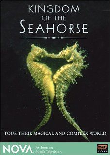 NOVA   Kingdom of the Seahorse Stacy Keach, Peter Thomas (VI), Don Wescott, Nova Movies & TV