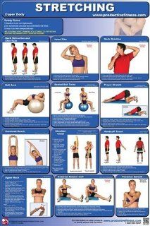 Stretching Poster   Upper Body  Exercise Balls  Sports & Outdoors