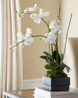 White Orchid in Black Planter Faux Floral Arrangement   John Richard Collection