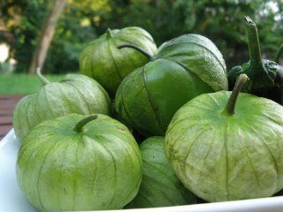 100+ Tomatillo Verde Seeds  Heirloom Variety  "Green Tomato", "Ground Cherry"  Vegetable Plants  Patio, Lawn & Garden