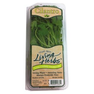 North Shore Living Herbs Cilantro 2 oz