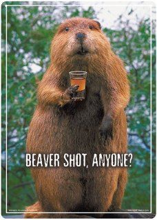 Beaver Shot, Anyone? Funny Novelty Tin Sign  Decorative Signs  