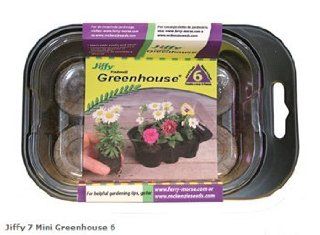 Jiffy 5709 Mini Greenhouse  Seed Starter Greenhouse  Patio, Lawn & Garden