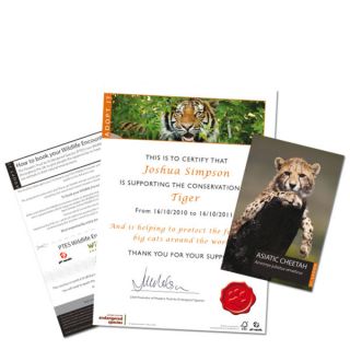 Adopt A Big Cat      Traditional Gifts