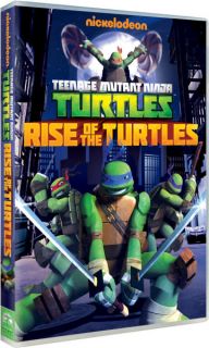 Teenage Mutant Ninja Turtles Rise of the Turtles   Season 1 Volume 1      DVD