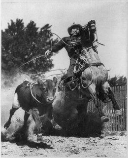 Photo Cowboy roping calf, horseback, cowboy hat, fence, 1949?   Prints